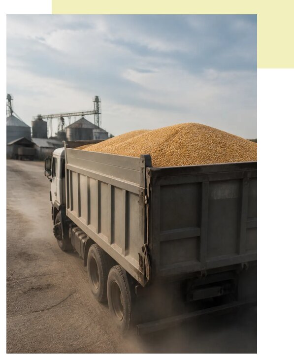 Перевозка сельхозпродукции навалом в Кимовск по цене от 3092 р. | Агросервис-Кмв